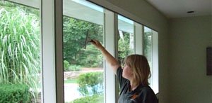window & screen washing